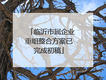 临沂市属企业重组整合方案已完成初稿