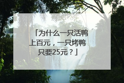为什么一只活鸭上百元，一只烤鸭只要25元？