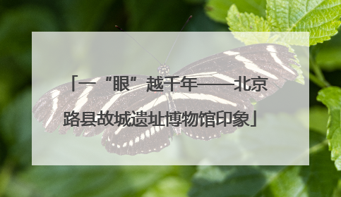 一“眼”越千年——北京路县故城遗址博物馆印象