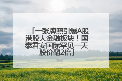 一张牌照引爆A股港股大金融板块！国泰君安国际罕见一天股价翻2倍