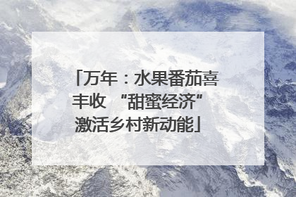 万年：水果番茄喜丰收 “甜蜜经济”激活乡村新动能