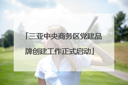 三亚中央商务区党建品牌创建工作正式启动