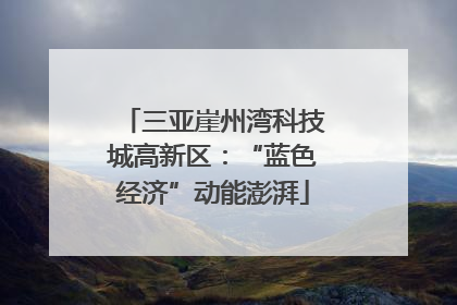 三亚崖州湾科技城高新区：“蓝色经济”动能澎湃