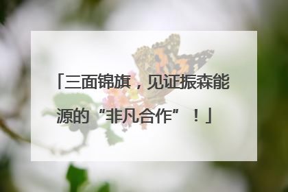 三面锦旗，见证振森能源的“非凡合作”！