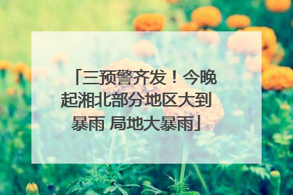 三预警齐发！今晚起湘北部分地区大到暴雨 局地大暴雨