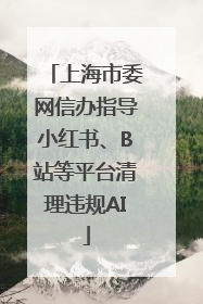 上海市委网信办指导小红书、B站等平台清理违规AI