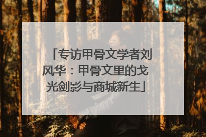 专访甲骨文学者刘风华：甲骨文里的戈光剑影与商城新生