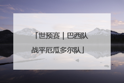 世预赛｜巴西队战平厄瓜多尔队