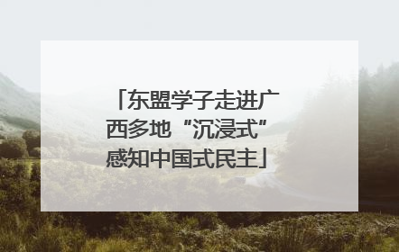 东盟学子走进广西多地“沉浸式”感知中国式民主