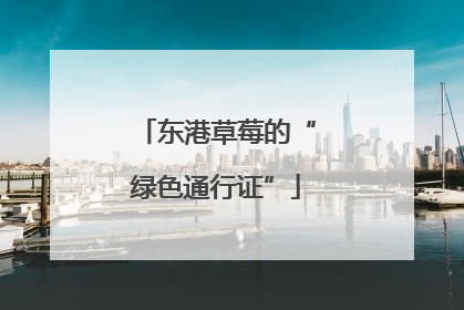 东港草莓的“绿色通行证”