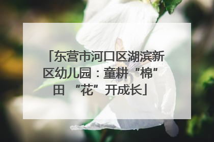 东营市河口区湖滨新区幼儿园：童耕“棉”田 “花”开成长