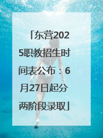 东营2025职教招生时间表公布：6月27日起分两阶段录取