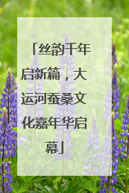 丝韵千年启新篇，大运河蚕桑文化嘉年华启幕