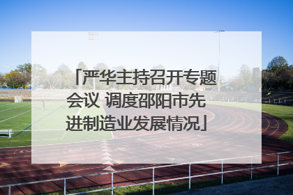 严华主持召开专题会议 调度邵阳市先进制造业发展情况