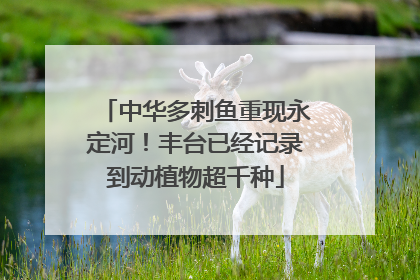 中华多刺鱼重现永定河！丰台已经记录到动植物超千种