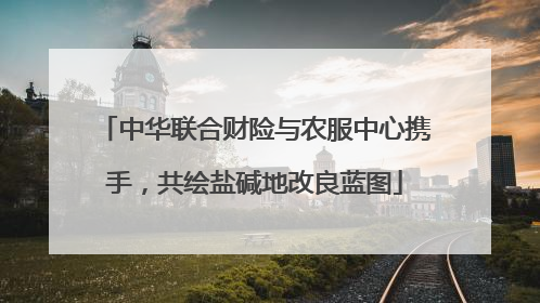 中华联合财险与农服中心携手，共绘盐碱地改良蓝图
