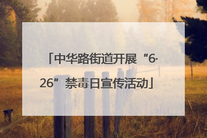 中华路街道开展“6·26”禁毒日宣传活动