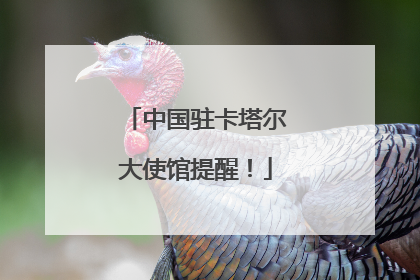 中国驻卡塔尔大使馆提醒！