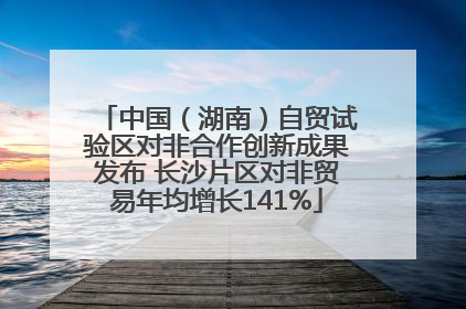 中国（湖南）自贸试验区对非合作创新成果发布 长沙片区对非贸易年均增长141%