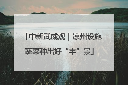中新武威观｜凉州设施蔬菜种出好“丰”景