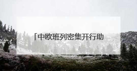 中欧班列密集开行助推“落地经济” 激活周边地区发展新动能