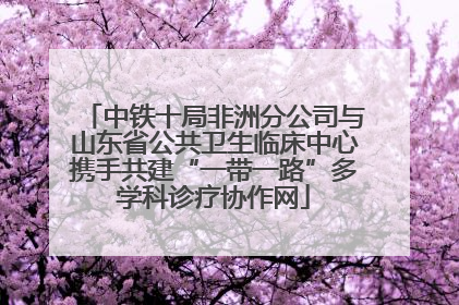 中铁十局非洲分公司与山东省公共卫生临床中心携手共建“一带一路”多学科诊疗协作网