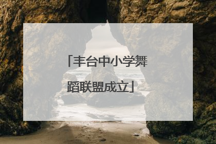 丰台中小学舞蹈联盟成立