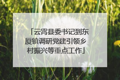云霄县委书记到东厦镇调研党建引领乡村振兴等重点工作