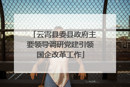 云霄县委县政府主要领导调研党建引领国企改革工作