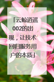 云鲸逍遥002的出现，让技术回归服务用户的本质