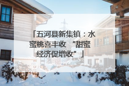 五河县新集镇：水蜜桃喜丰收 “甜蜜经济促增收”