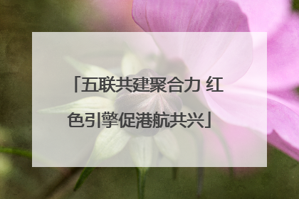 五联共建聚合力 红色引擎促港航共兴