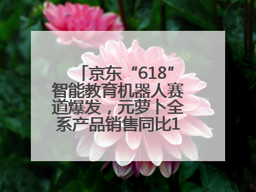 京东“618”智能教育机器人赛道爆发，元萝卜全系产品销售同比171%成黑马