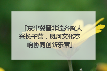 京津冀晋非遗齐聚大兴长子营，凤河文化奏响协同创新乐章