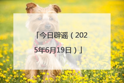 今日辟谣（2025年6月19日）