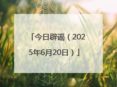 今日辟谣（2025年6月20日）