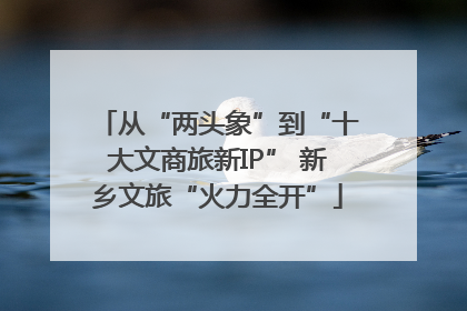 从“两头象”到“十大文商旅新IP” 新乡文旅“火力全开”