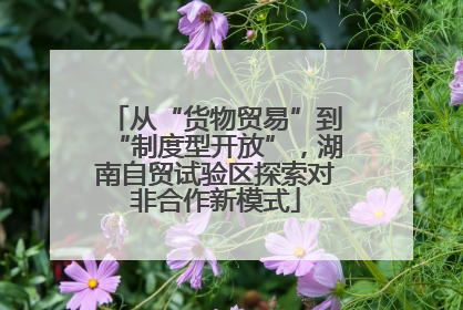 从“货物贸易”到“制度型开放”，湖南自贸试验区探索对非合作新模式