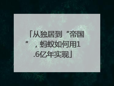 从独居到“帝国”，蚂蚁如何用1.6亿年实现