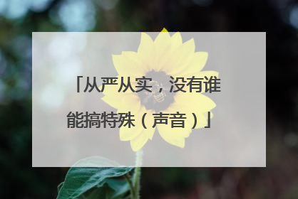 从严从实，没有谁能搞特殊（声音）
