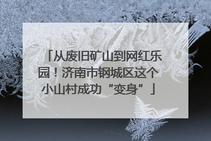 从废旧矿山到网红乐园！济南市钢城区这个小山村成功“变身”
