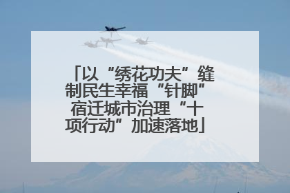 以“绣花功夫”缝制民生幸福“针脚” 宿迁城市治理“十项行动”加速落地