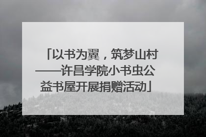 以书为翼，筑梦山村——许昌学院小书虫公益书屋开展捐赠活动
