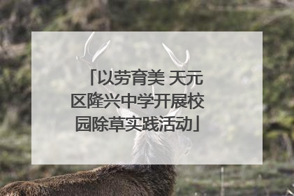 以劳育美 天元区隆兴中学开展校园除草实践活动