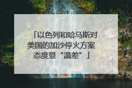 以色列和哈马斯对美国的加沙停火方案态度显“温差”