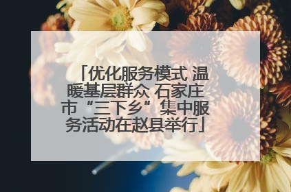 优化服务模式 温暖基层群众 石家庄市“三下乡”集中服务活动在赵县举行