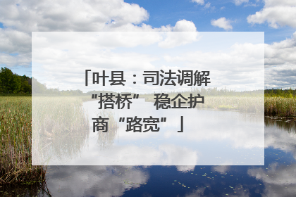 叶县：司法调解“搭桥” 稳企护商“路宽”
