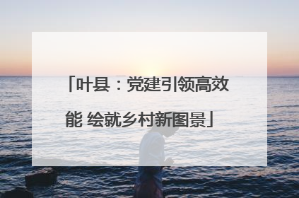 叶县：党建引领高效能 绘就乡村新图景