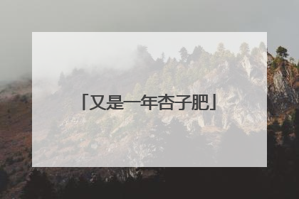 又是一年杏子肥