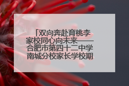 双向奔赴育桃李 家校同心向未来——合肥市第四十二中学南城分校家长学校期末总结会圆满召开